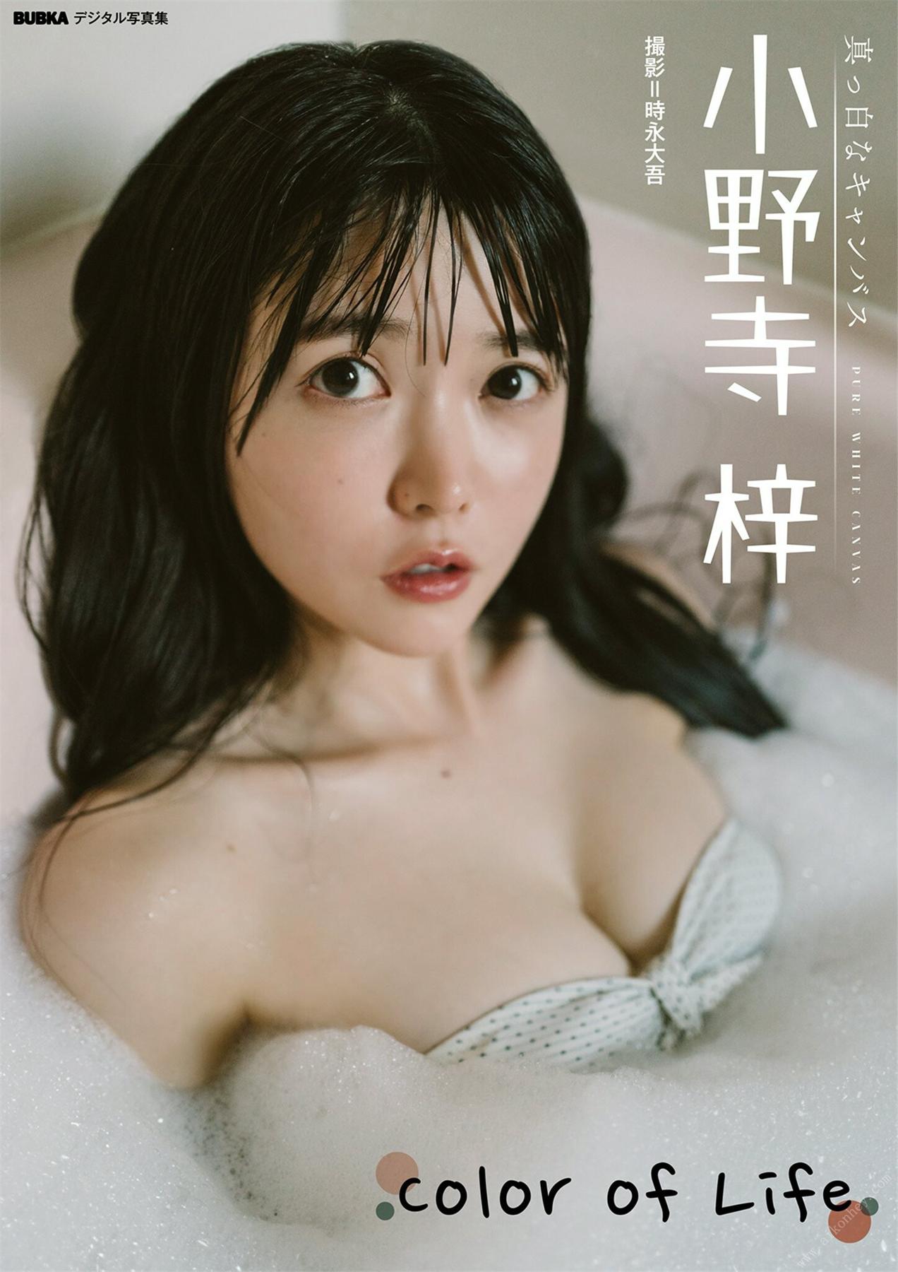 小野寺梓「Color of Life」 BUBKAデジタル写真集  2023.02.16-COS合集
